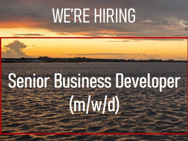 We’re hiring Senior Business Developer (m/f/d) 
